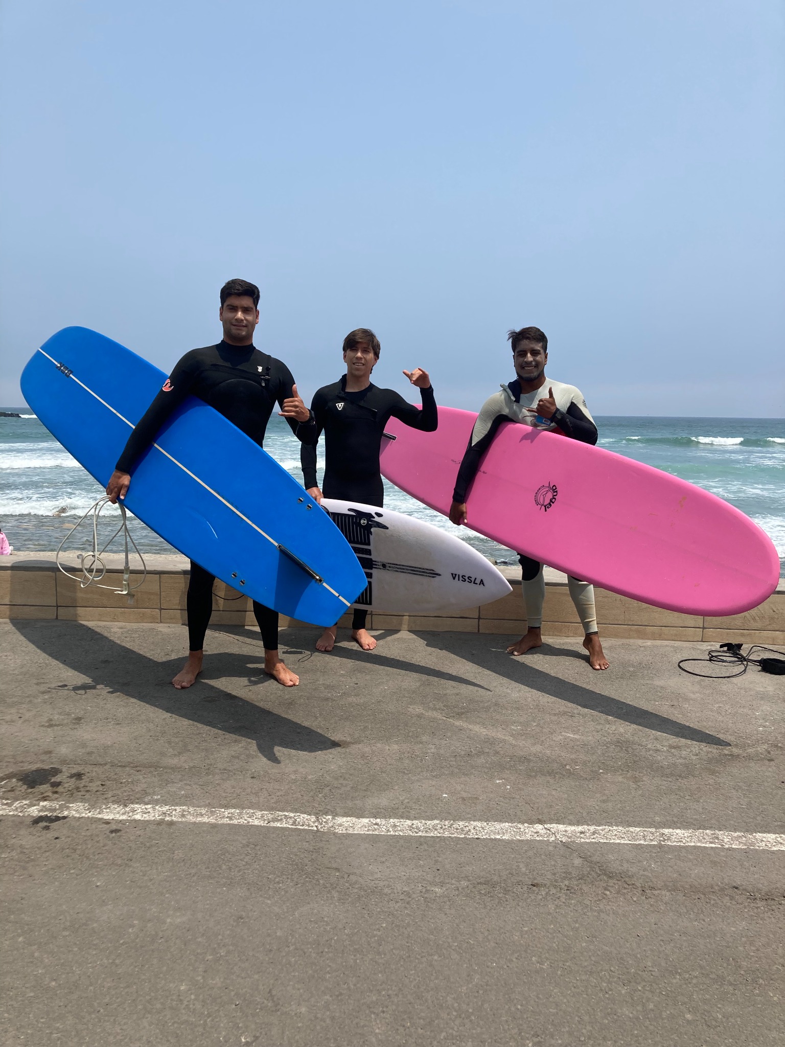 Surfistas con sus tablas frente al mar