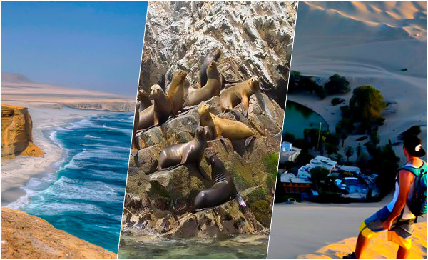 Surfari Punta Rocas hostel excursiones